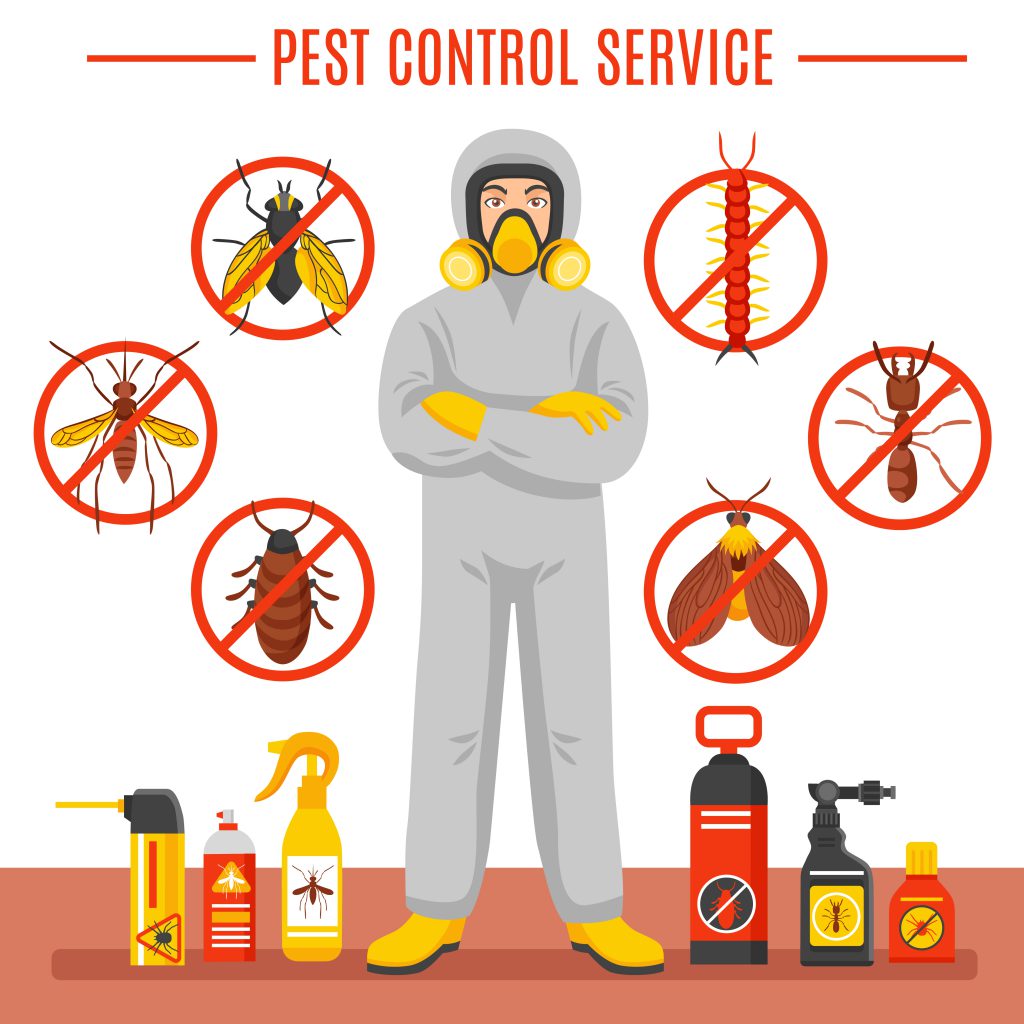 Pest Control Service Illustration